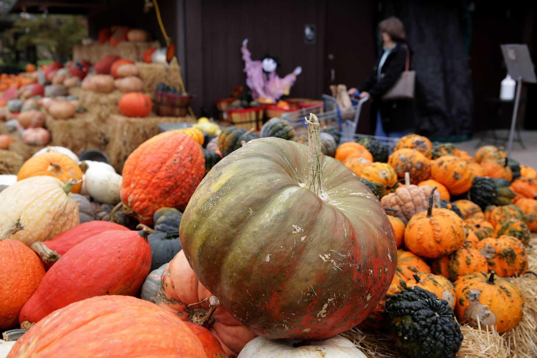 Kirkwood Farmers Market pumpkins